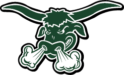 packers logo
